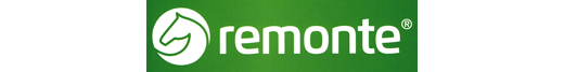 RIEKER REMONTE D2V70-03 black combiantion, trzewiki damskie