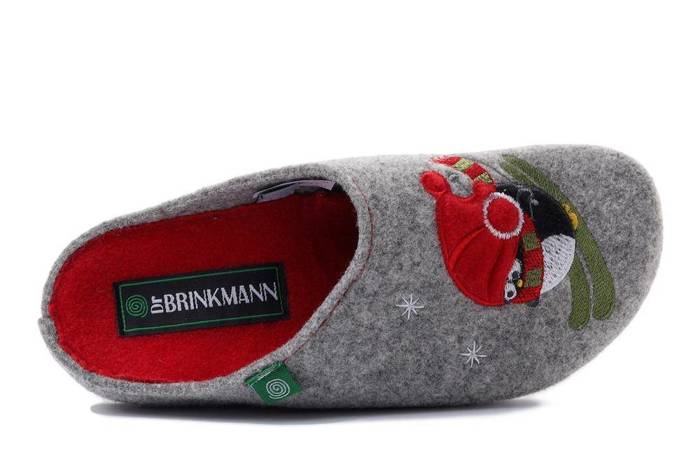 DR. BRINKMANN 320150-91 hellgrau, kapcie damskie